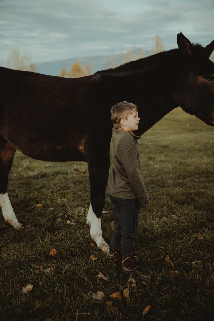 little boy petting a horse during his family session in alaska