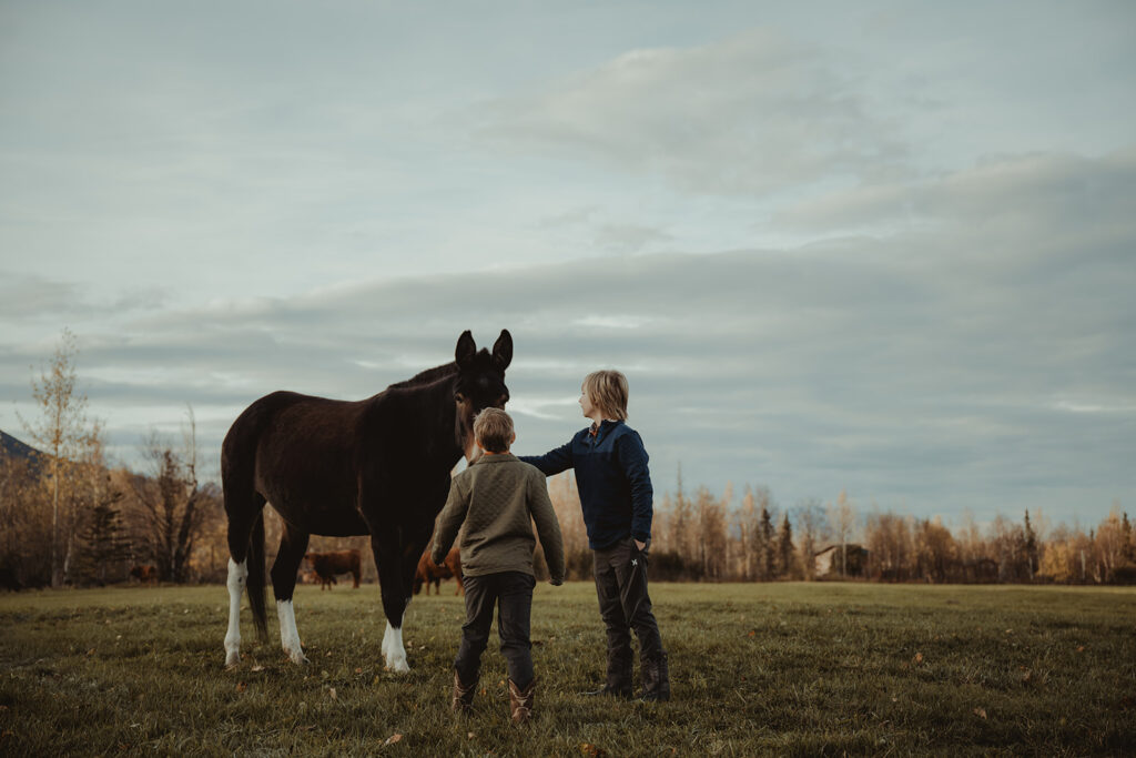 little boys petting a horse during their photoshoot