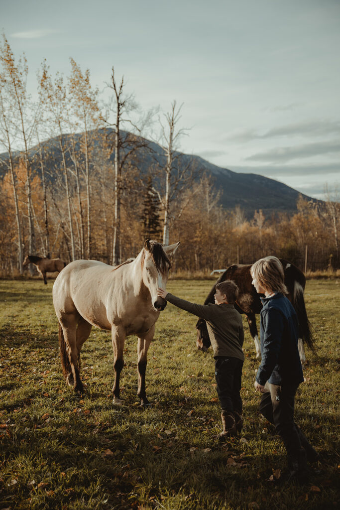 kids playing with a horse during their sunrise family photoshoot