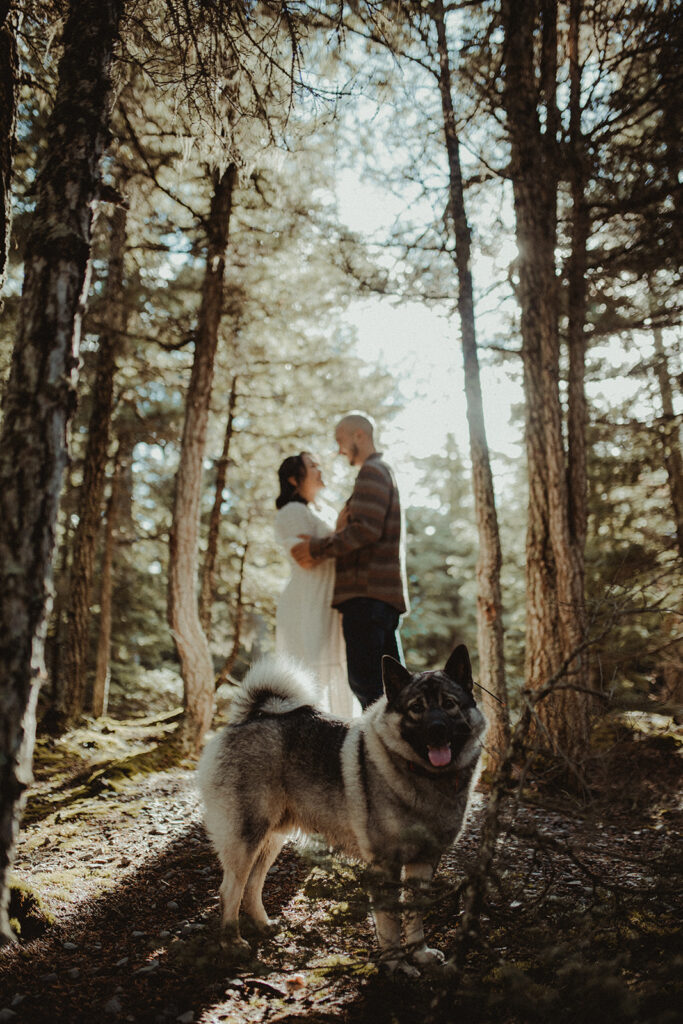 golden hour engagement session