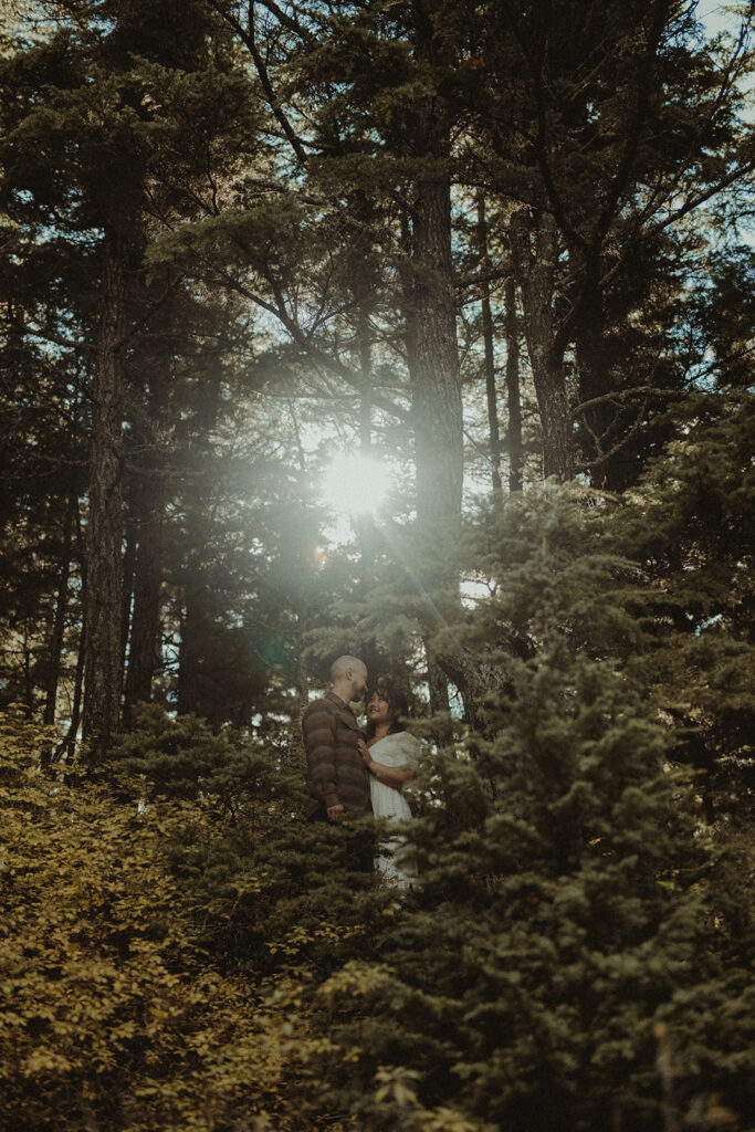 fiance kissing his fiance on the cheek