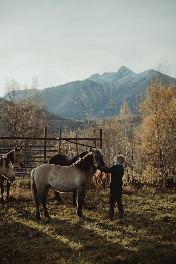 Fun Sunrise Family Photoshoot in Palmer, Alaska