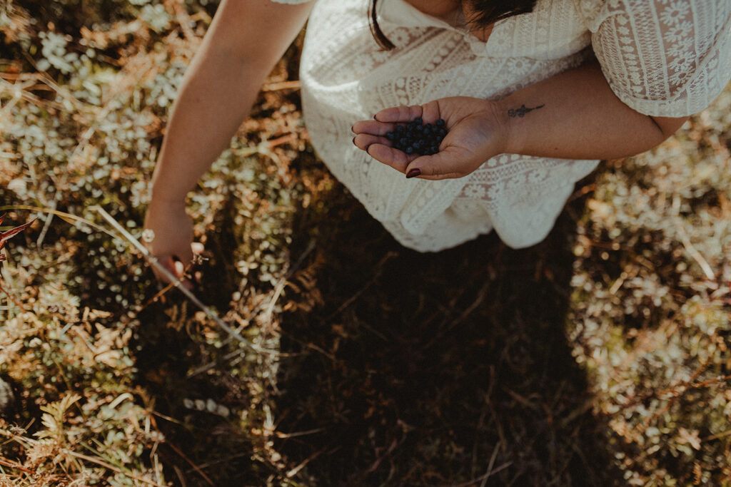 picking berries at their engagement session